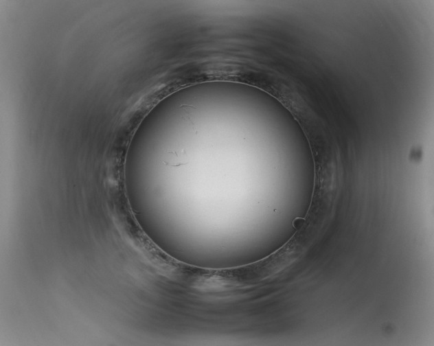 X0000113620755200909251206