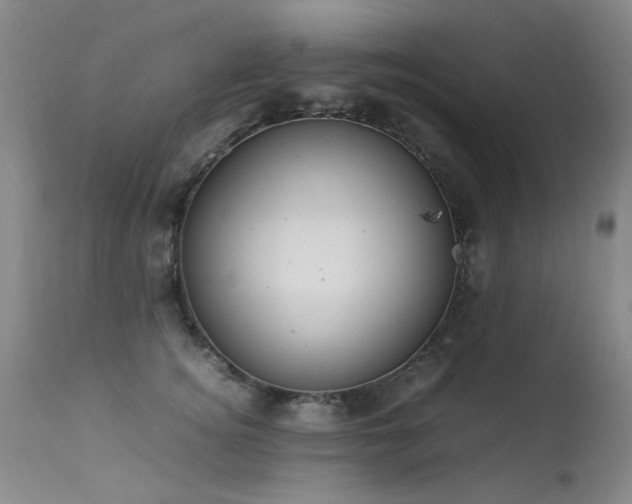 X0000113620756200909251206