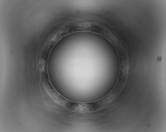 X0000113620758200909251206