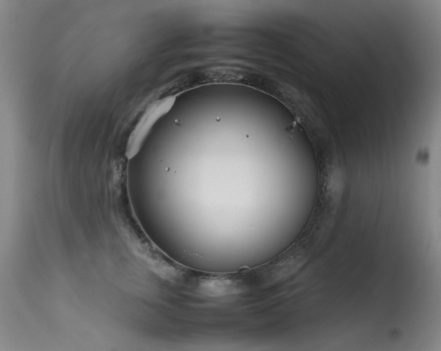 X0000113620759200909251206