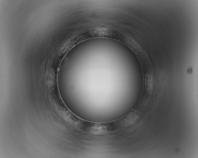 X0000113620760200909251206