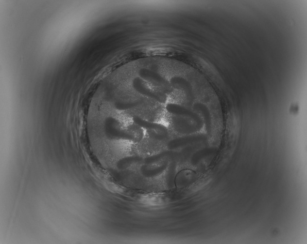 X0000113620761200909251206