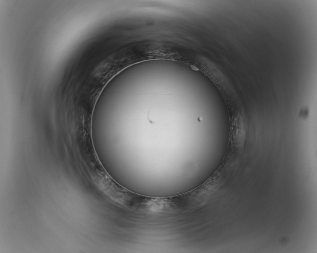 X0000113620762200909251206