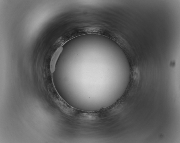 X0000113620763200909251206