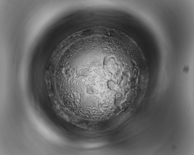 X0000113620765200909251206