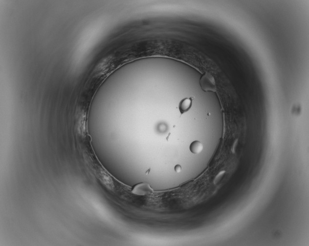 X0000113620766200909251206