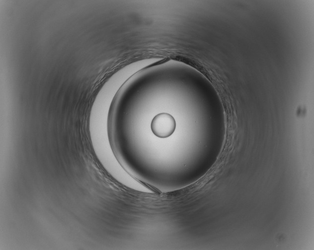 X0000113620768200909251206