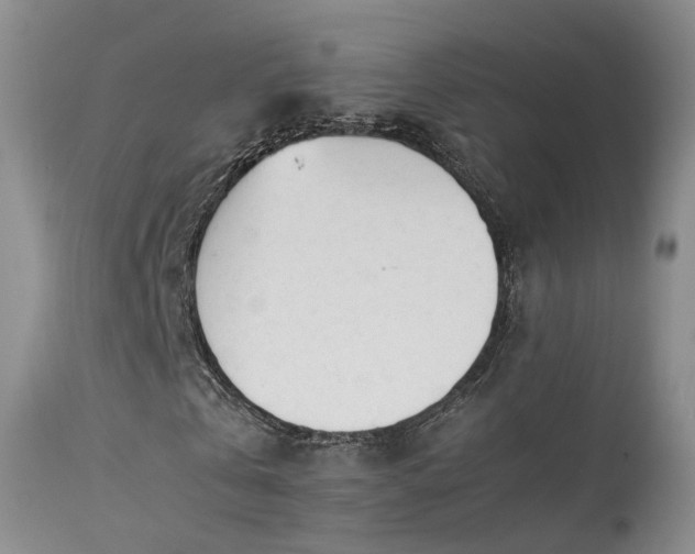 X0000113620769200909251206