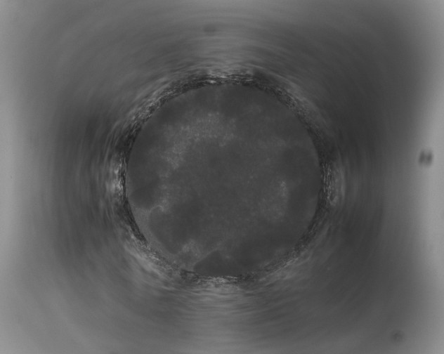 X0000113620770200909251206