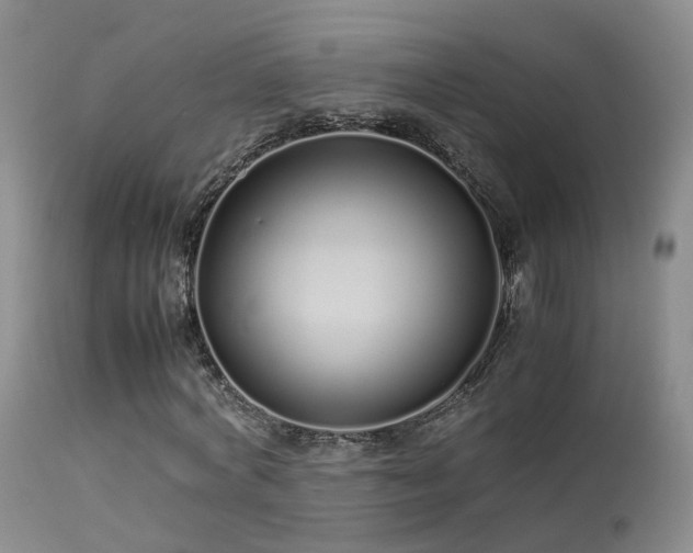 X0000113620772200909251205