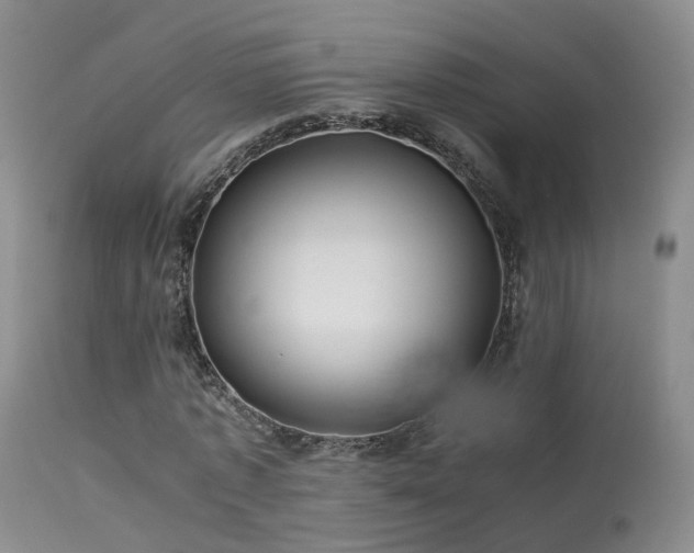 X0000113620773200909251205