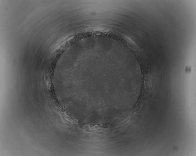 X0000113620774200909251205