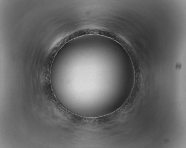 X0000113620775200909251205