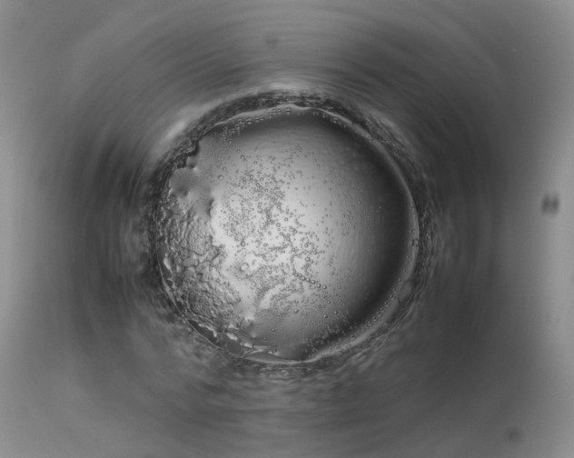 X0000113620776200909251205