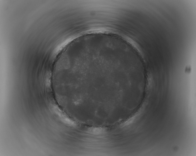 X0000113620778200909251205