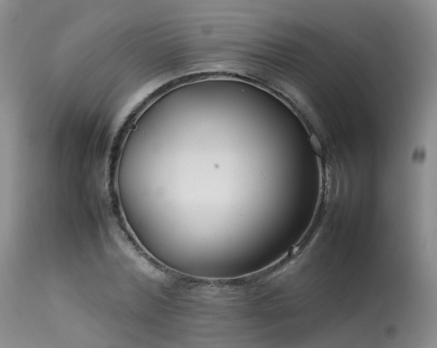 X0000113620780200909251205