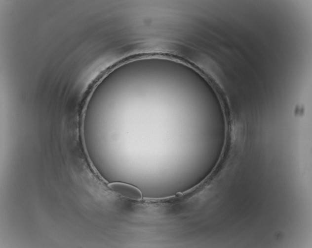 X0000113620781200909251205