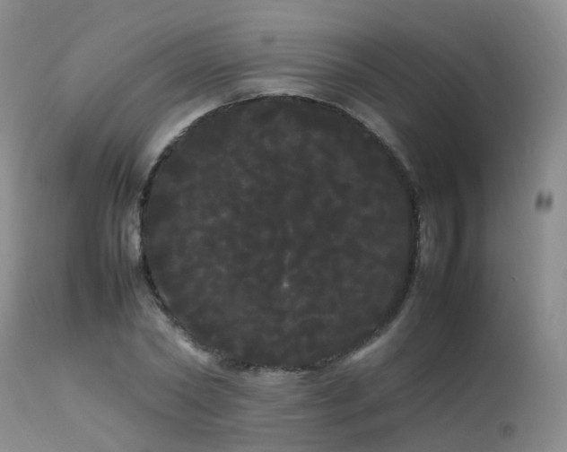 X0000113620782200909251205