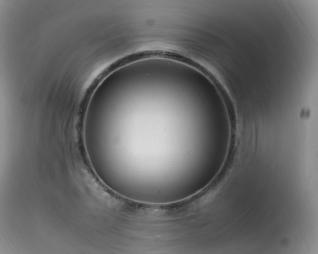 X0000113620783200909251205