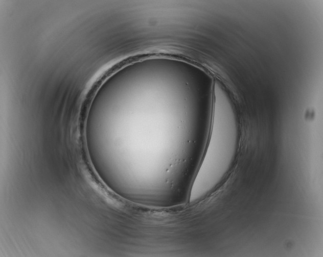 X0000113620784200909251205