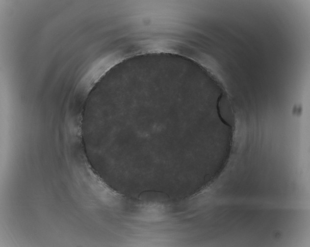 X0000113620785200909251205