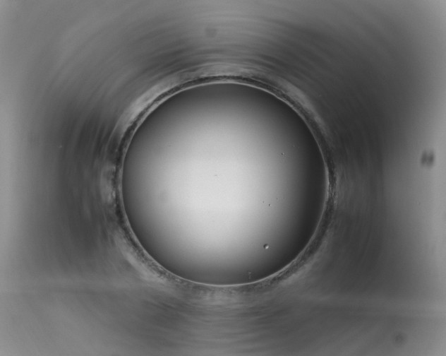 X0000113620786200909251205