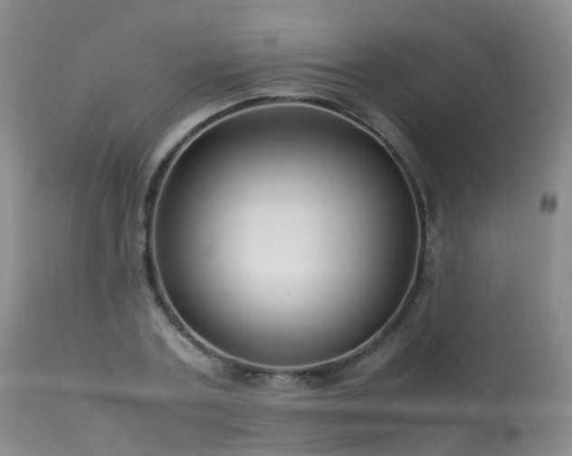 X0000113620787200909251205