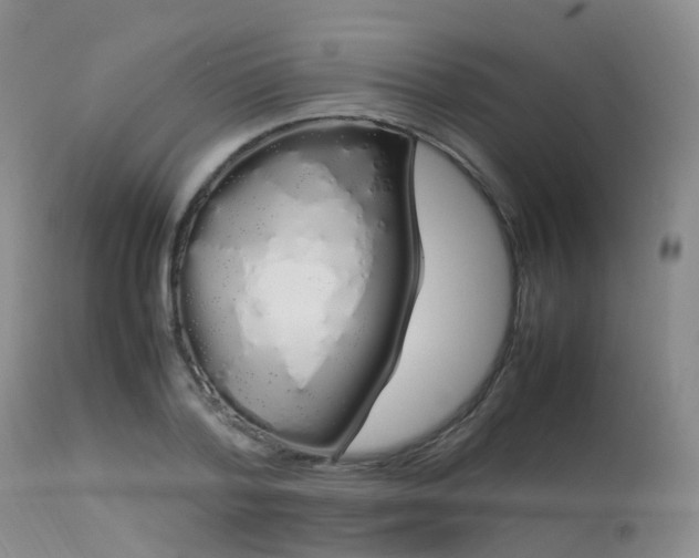 X0000113620788200909251205