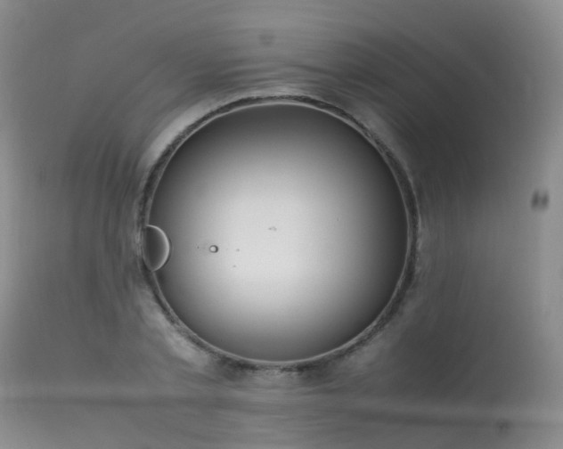 X0000113620789200909251205