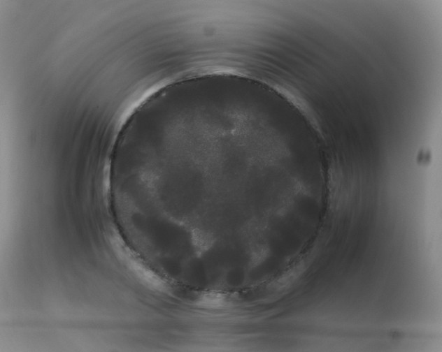 X0000113620790200909251205