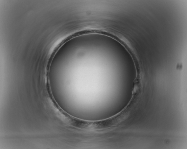 X0000113620791200909251205