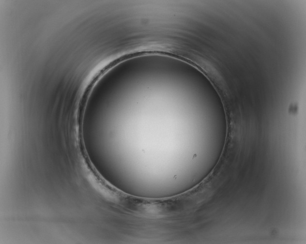 X0000113620792200909251205