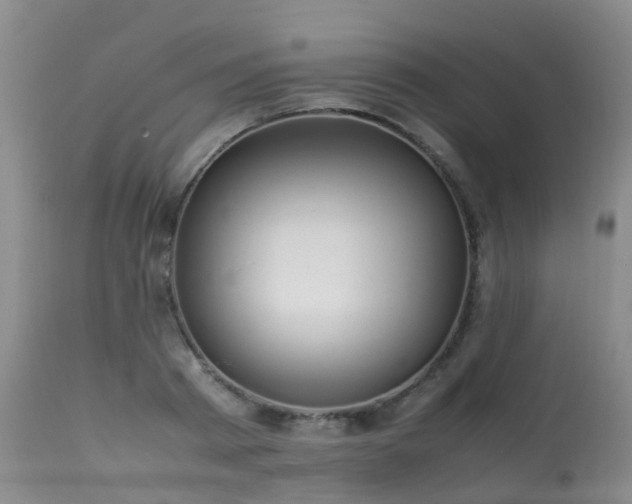 X0000113620793200909251205