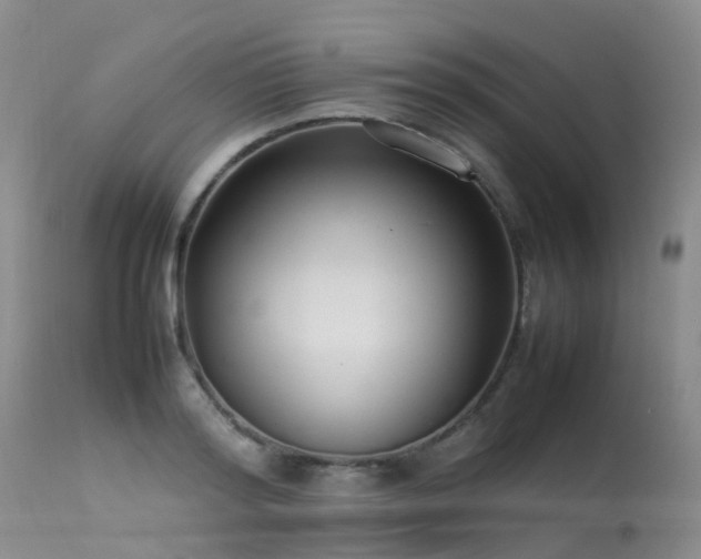 X0000113620796200909251205