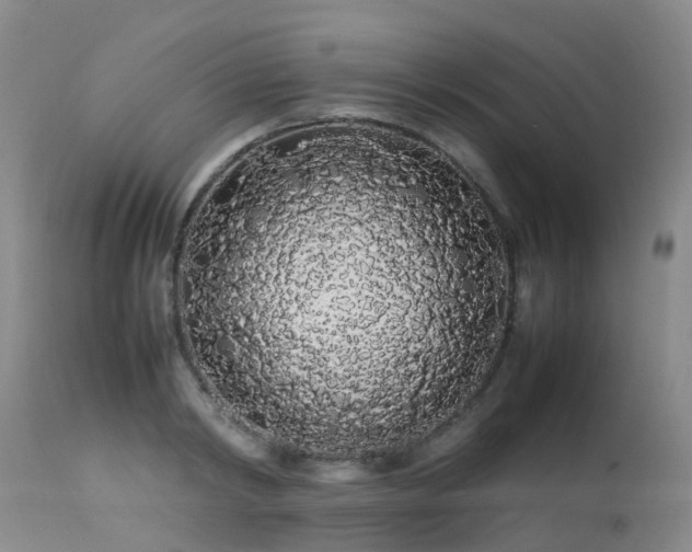 X0000113620798200909251205