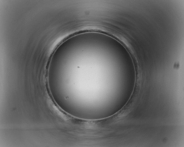 X0000113620799200909251205