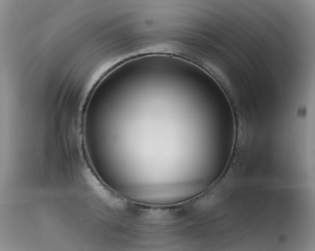 X0000113620800200909251205