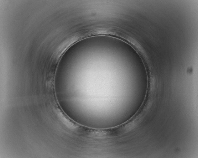 X0000113620801200909251205