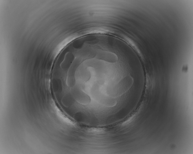 X0000113620802200909251205