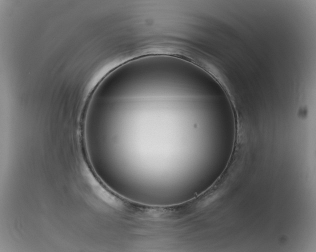 X0000113620803200909251205