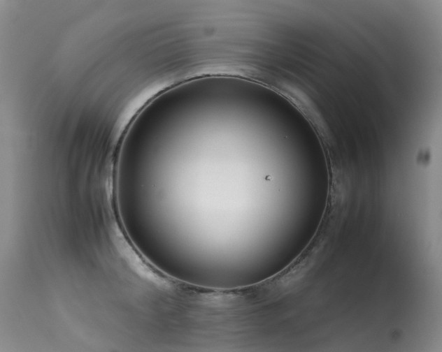 X0000113620804200909251205