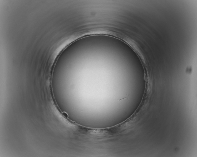 X0000113620805200909251205