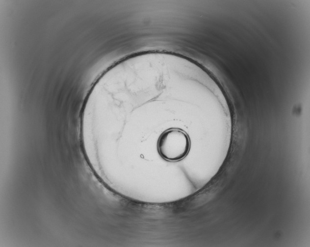 X0000113620807200909251205