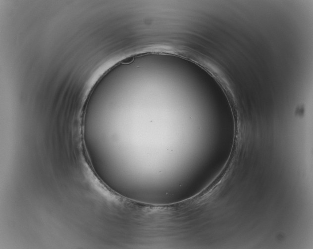 X0000113620808200909251205