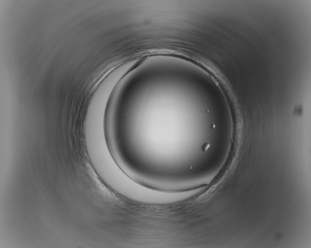 X0000113620809200909251205