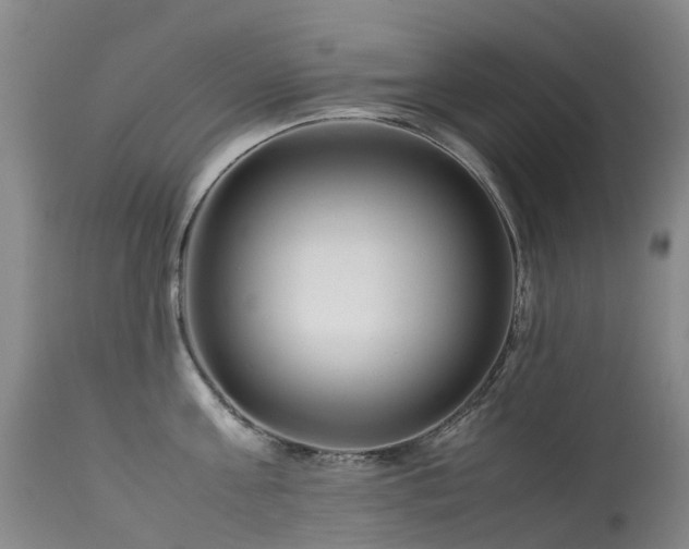 X0000113620811200909251205