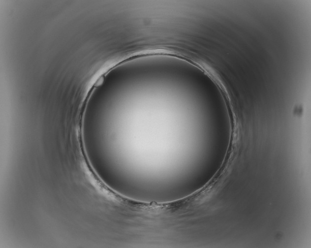 X0000113620813200909251205