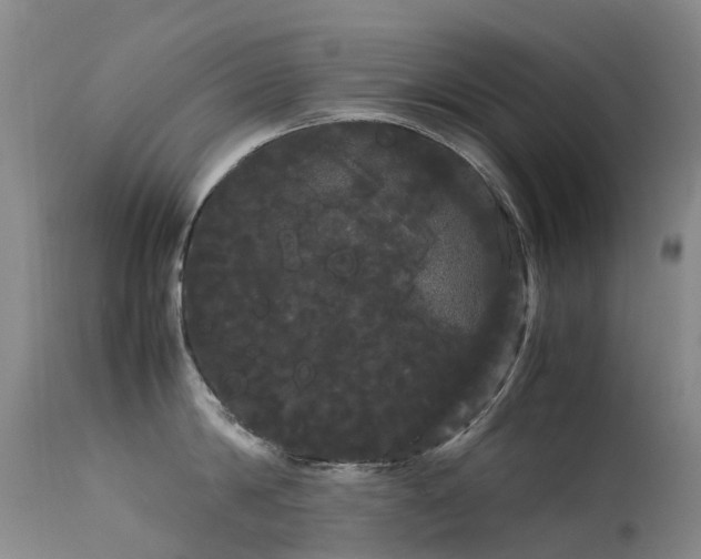 X0000113620814200909251205