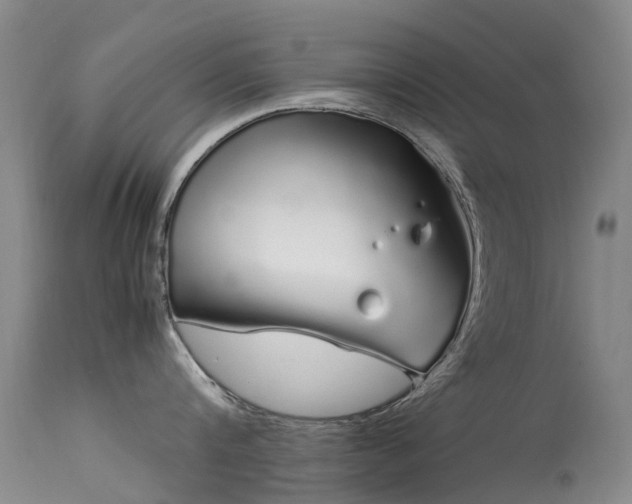 X0000113620816200909251205