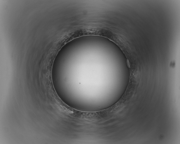 X0000113620817200909251204